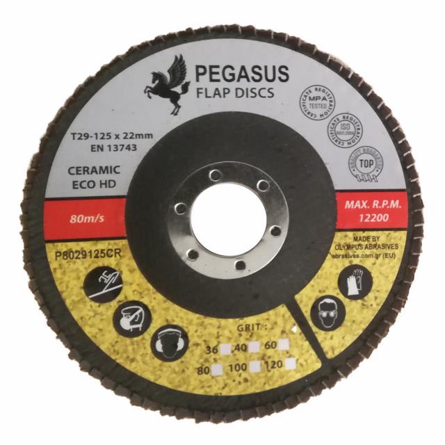 Pegasus Flap Disc P40 hybrid Eco HD 125 mm