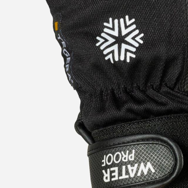 405037_Tegera_517_1.jpg Tegera 517