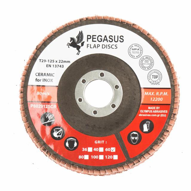 Pegasus Flap Disc Ceramic P40 Ø125 mm